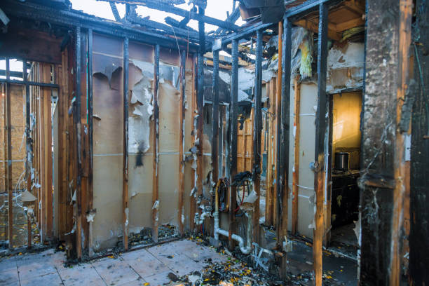 Professional Fire Damage Removal technician working in Pecan Grove, TX
